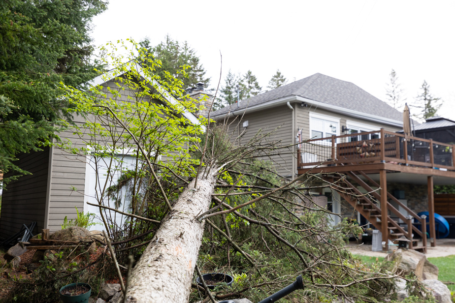 découvrez comment l'assurance habitation protège contre les dégâts causés par les tornades et quelles démarches suivre pour être indemnisé efficacement après une catastrophe naturelle.