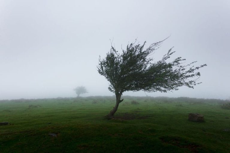 protégez votre maison contre les tempêtes avec notre assurance habitation complète, offrant couverture fiable et sérénité toute l'année.