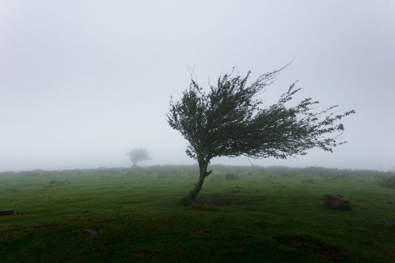 protégez votre maison contre les tempêtes avec notre assurance habitation complète, offrant couverture fiable et sérénité toute l'année.