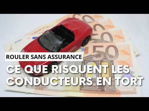 découvrez les prévisions de hausse des tarifs d'assurance habitation pour 2025 et analysez l'évolution des coûts liés à l'assurance automobile afin de mieux préparer votre budget.