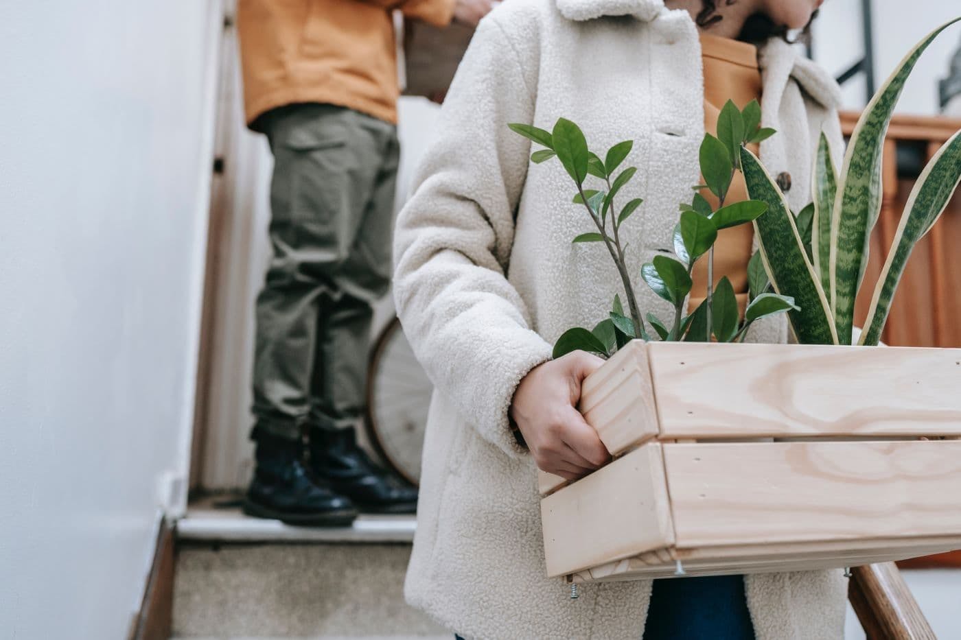découvrez notre guide complet sur l'assurance location appartement pour bien protéger votre logement et comprendre vos garanties essentielles.